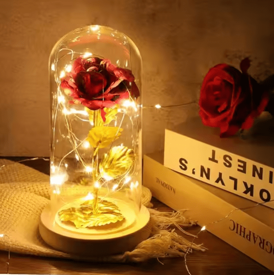 Flower Dome with LED Light - 𝕒𝕝 𝕥𝕒𝕨𝕗𝕚𝕢